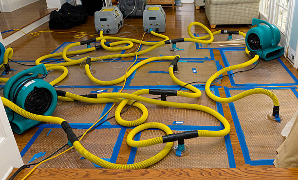 Professional Water Extraction technician working in Atkinson, IL